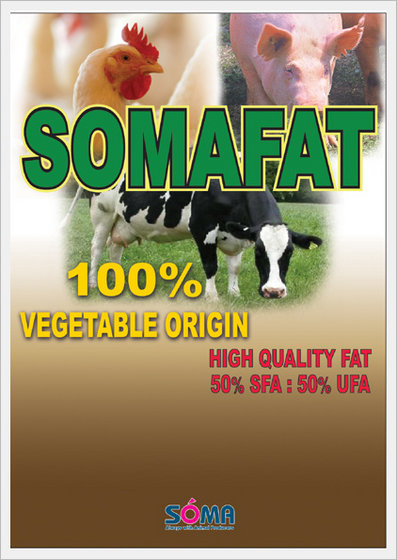SOMAFAT  Made in Korea